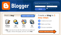 Blogging - Information, Information, Information