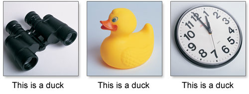 This is a duck (well not really)