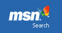 MSN Search Engine (BETA)