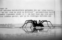 Spider, Bot, Robot, Crawler - Googlebot, Yahoo Slurp, MSNbot