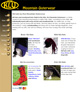 Compelling Website Portfolio - 
