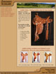 Compelling Website Portfolio - 