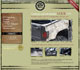 Compelling Website Portfolio - UTV Tech